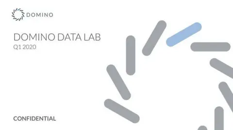 Domino Data Health Pitch Deck