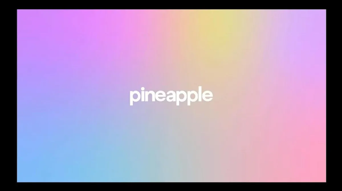 Pineapple | Start Up Pitch Deck | 29 slides · slide 1