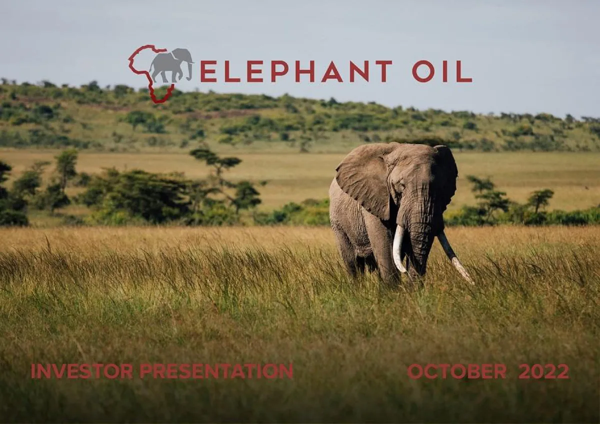 The logo incorporates an elephant silhouette over a map of Africa.