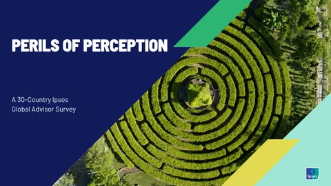 PERILS OF PERCEPTION
