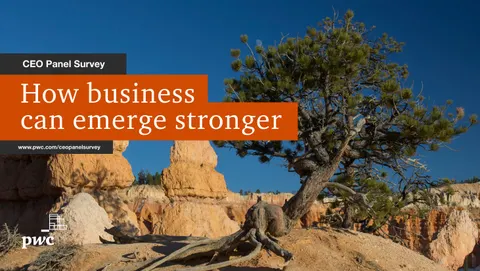 CEO Panel Survey Emerge Stronger
