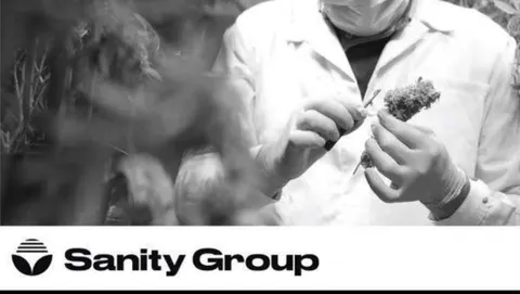 Sanity Group Pitch Deck