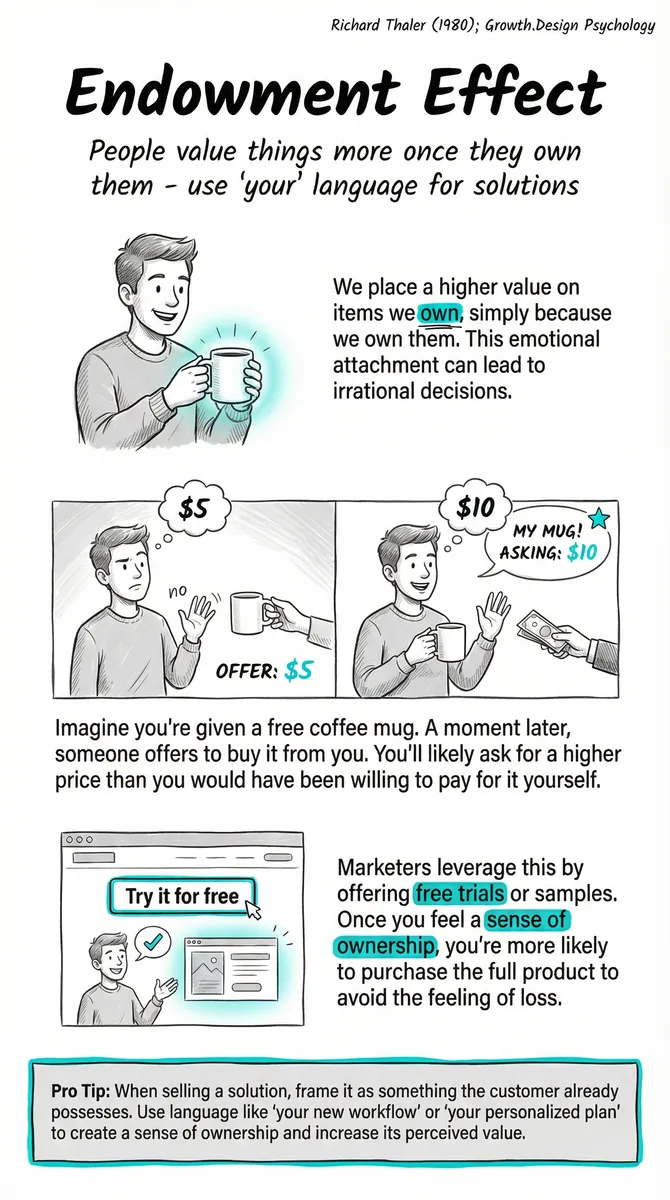Endowment Effect pattern illustration