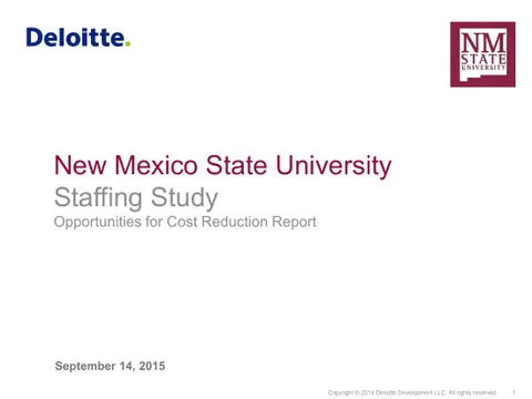 New Mexico State Staffing Study