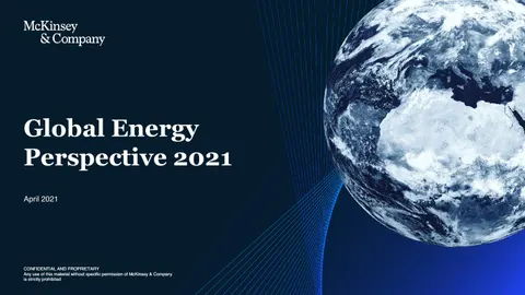 Global Energy Perspective 2021