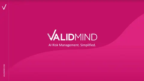ValidMind, which helps banks with AI risk, used this deck to raise $8M