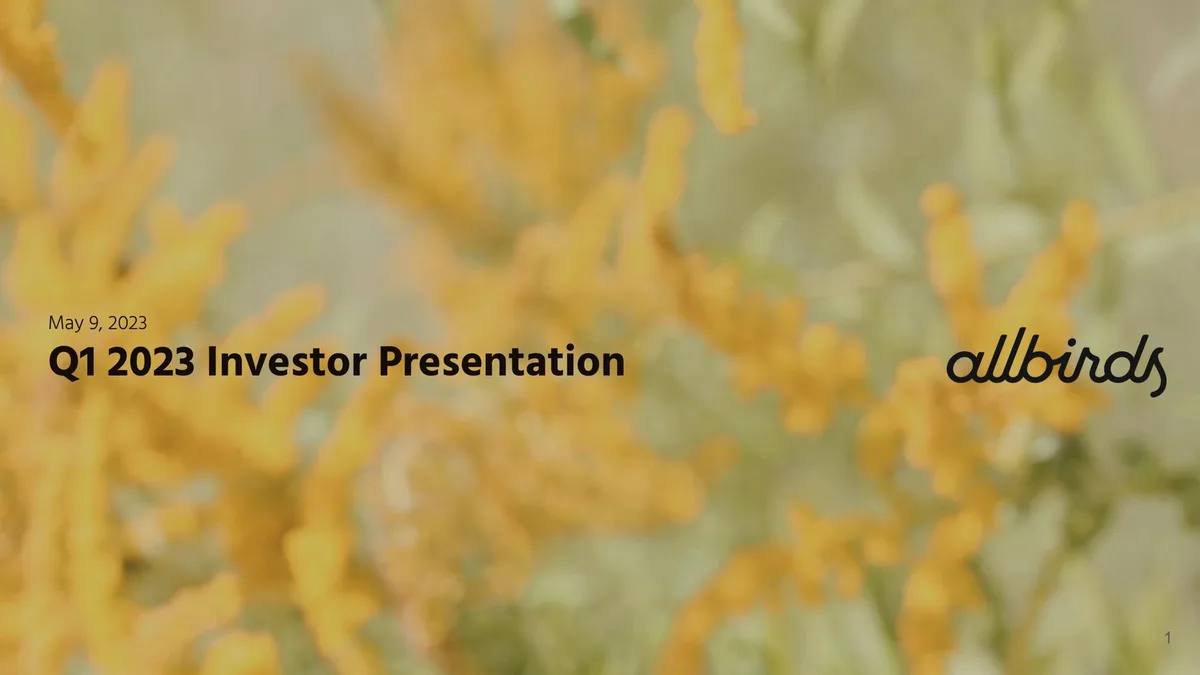 Allbirds | Investor Presentation Deck | 13 slides · slide 1