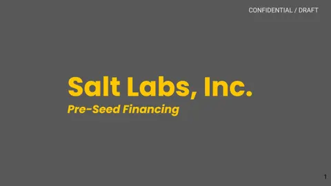 Fintech Salt Labs used this pitch deck to raise $10 million