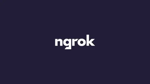 See the pitch deck that got Ngrok's first-time founder $50 million