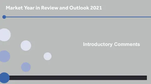 Market Year in Review and Outlook 2021