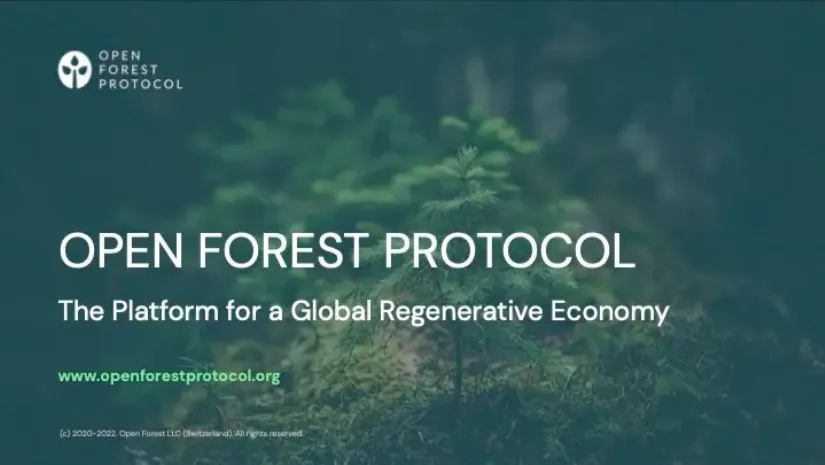 Read the pitch deck Open Forest Protocol used to raise $4.1 million · slide 1