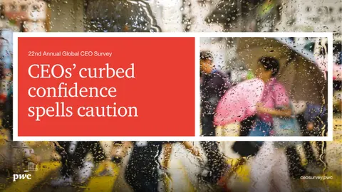 PwC&#x27;s 22nd Annual Global CEO Survey