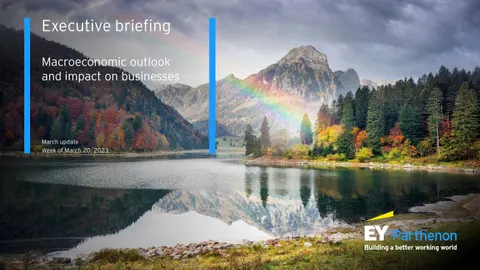 us executive macroeconomic briefing february 20240223