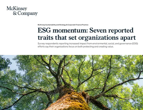 ESG momentum: Seven reported traits that set organizations apart