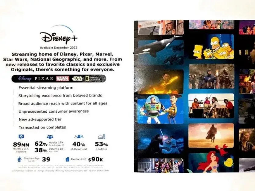 Includes a disclaimer at the bottom regarding data sources and confidentiality.