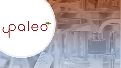 Paleo: Startup making plant-based food taste better raises $12.8 million