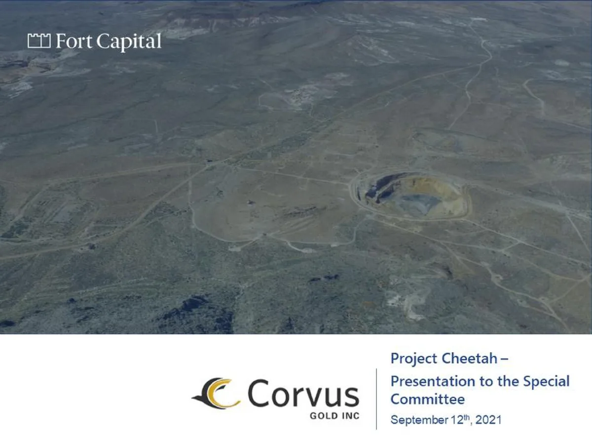 Fort Capital | Investment Banking Pitch Book | 56 slides · slide 1