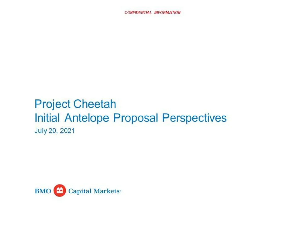 BMO Capital Markets | Investment Banking Pitch Book | 23 slides · slide 1