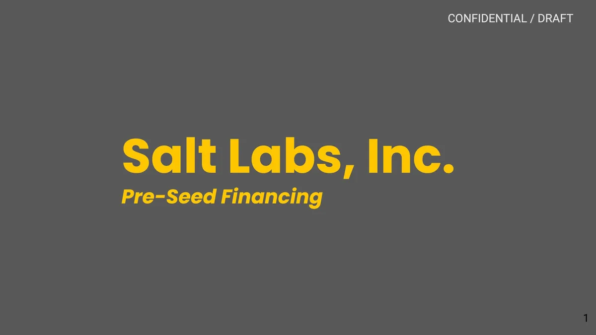 Fintech Salt Labs used this pitch deck to raise $10 million · slide 1