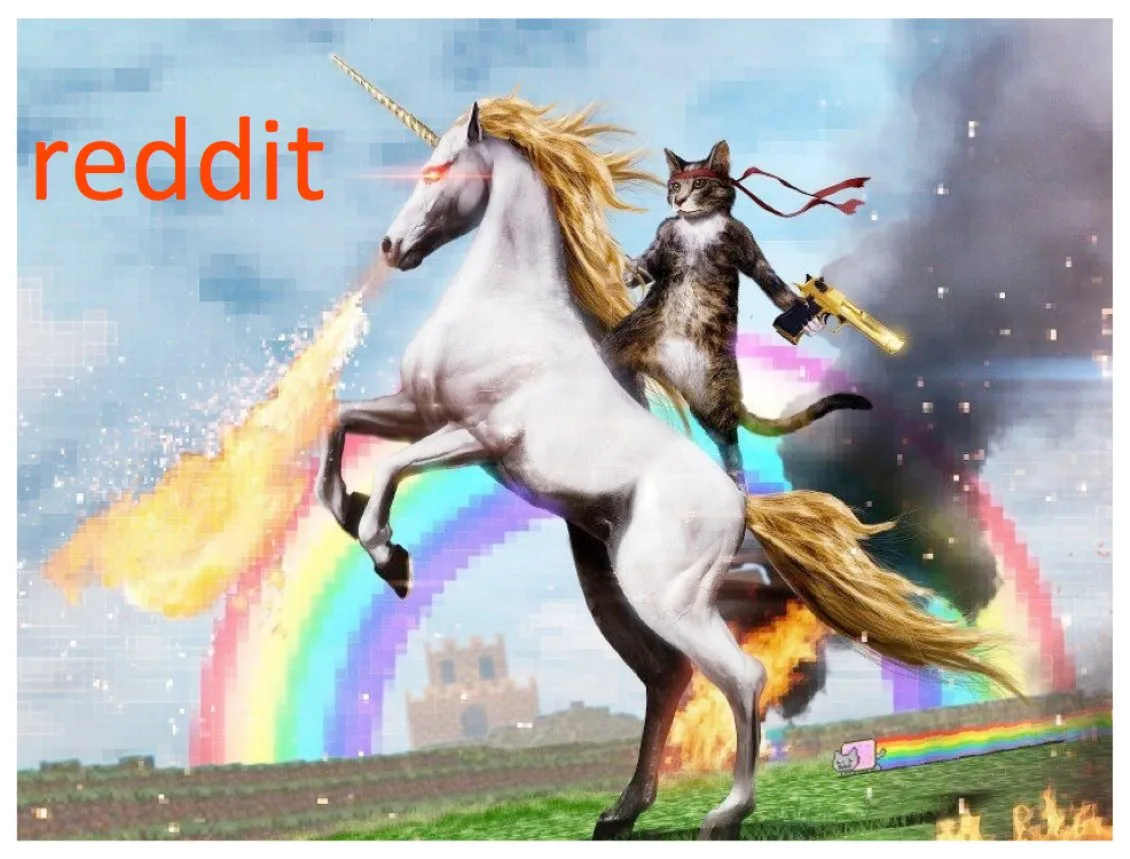 This is a famous, non-traditional pitch deck cover slide from Reddit's early fundraising materials.