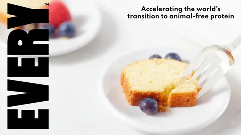 Check out the 9-page pitch deck animal-free;; egg protein startup EVERY used to raise $175 million in just 4 months