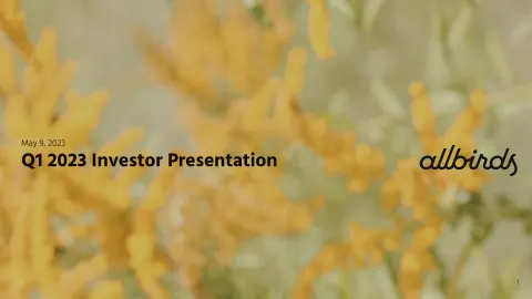 Allbirds | Investor Presentation Deck | 13 slides