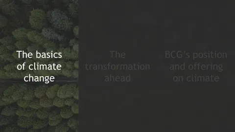 Climate Change: BCG’s Perspectives and Offerings