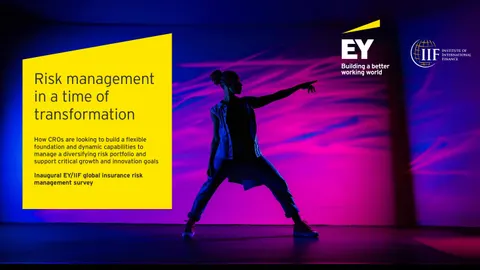 Risk management in transformation