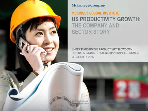 McKinsey US Productivity Growth The Company and Sector Story