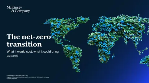 The net-zero transition