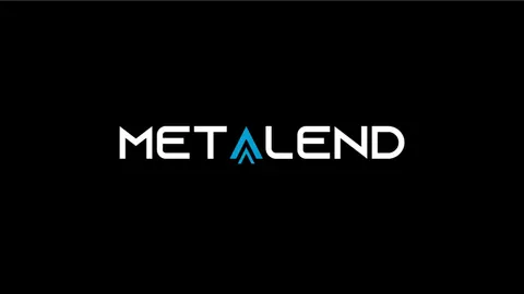 Pitch deck: MetaLend, crypto bank, raised seed funding from Pantera Capital