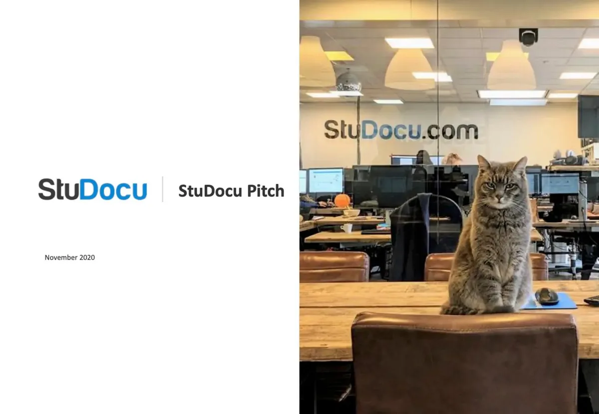 Features a cat sitting on a desk in the office.