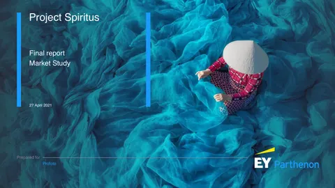 Project Spiritus Final report Market Study