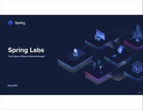 Spring Labs Pitch Deck