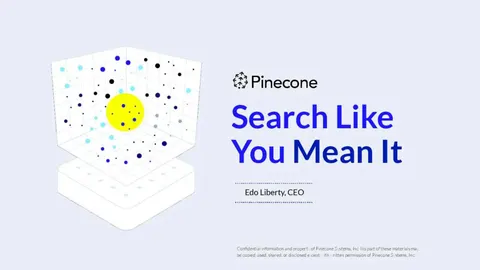 AI search startup Pinecone has raised $28 million backed by Tiger Global and Menlo Ventures — we got a look at its 18-slide Series A pitch deck