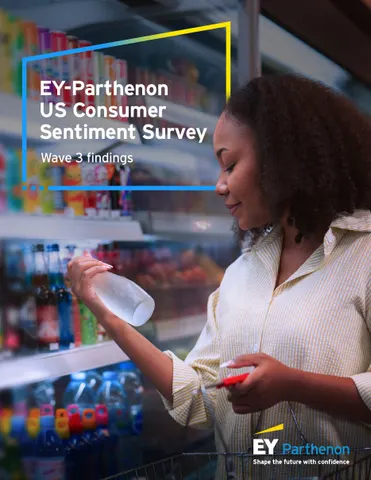 Parthenon US Consumer Sentiment Survey