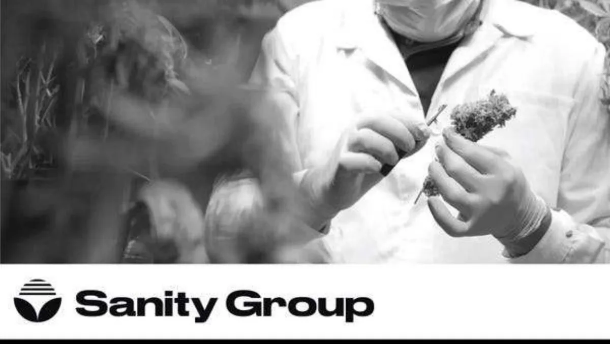Sanity Group Pitch Deck · slide 1