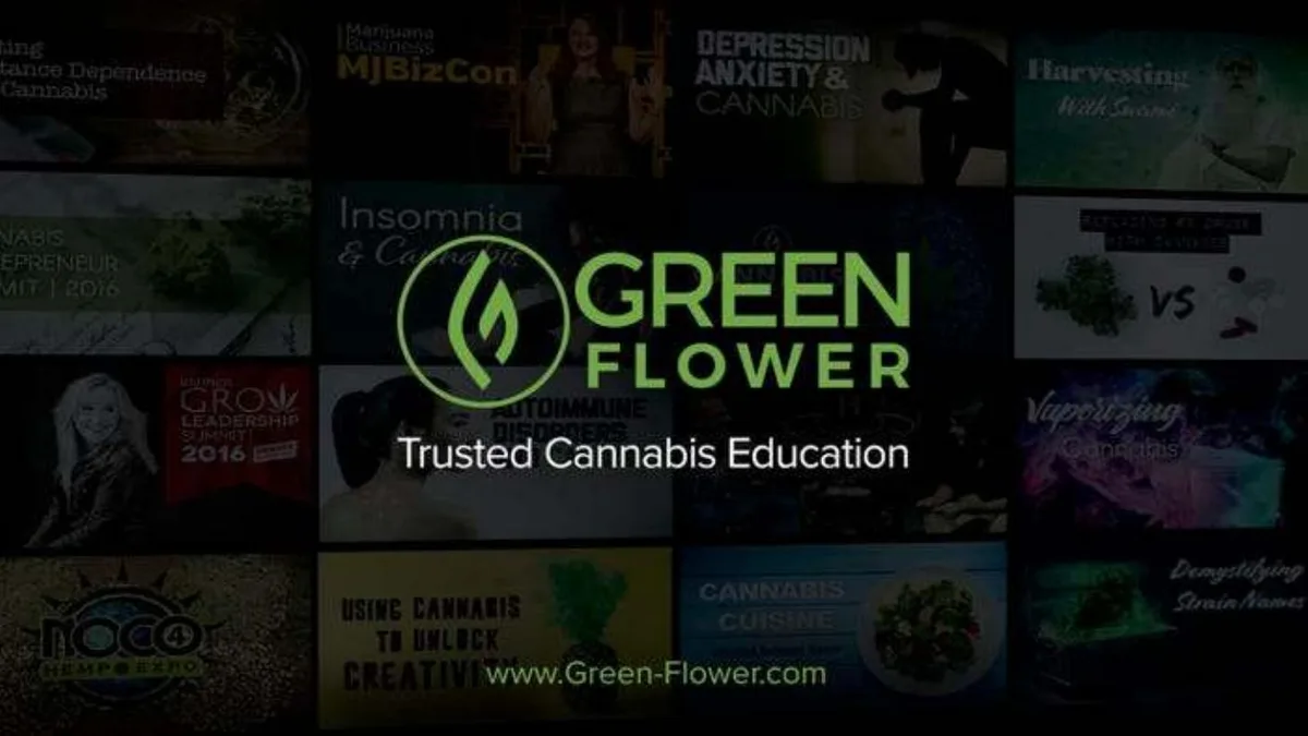 The background is a mosaic of various video thumbnails related to cannabis education.