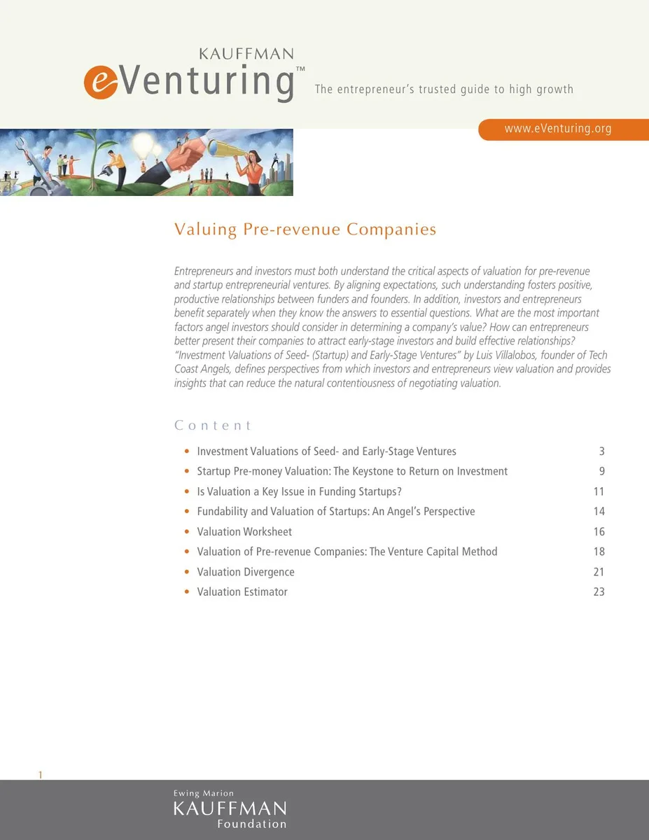 Valuing Pre revenue Companies · slide 1