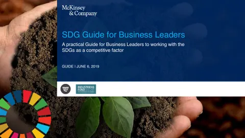 SDG Guide for Business Leaders