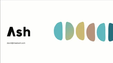 Ash | Start Up Pitch Deck | 9 slides