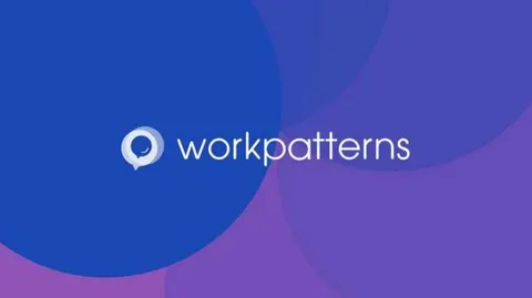 WorkPatterns PItch Deck Seed