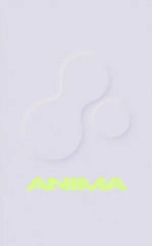 Pitch deck example that AR startup Anima used to raise $3 million