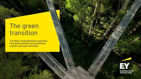 ey e book the green transition