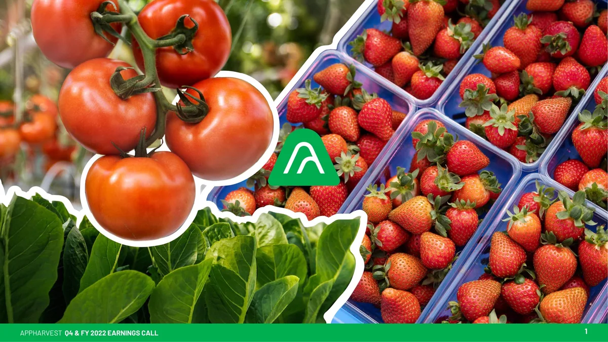 The slide features the company logo and high-quality photography of tomatoes, strawberries, and leafy greens.