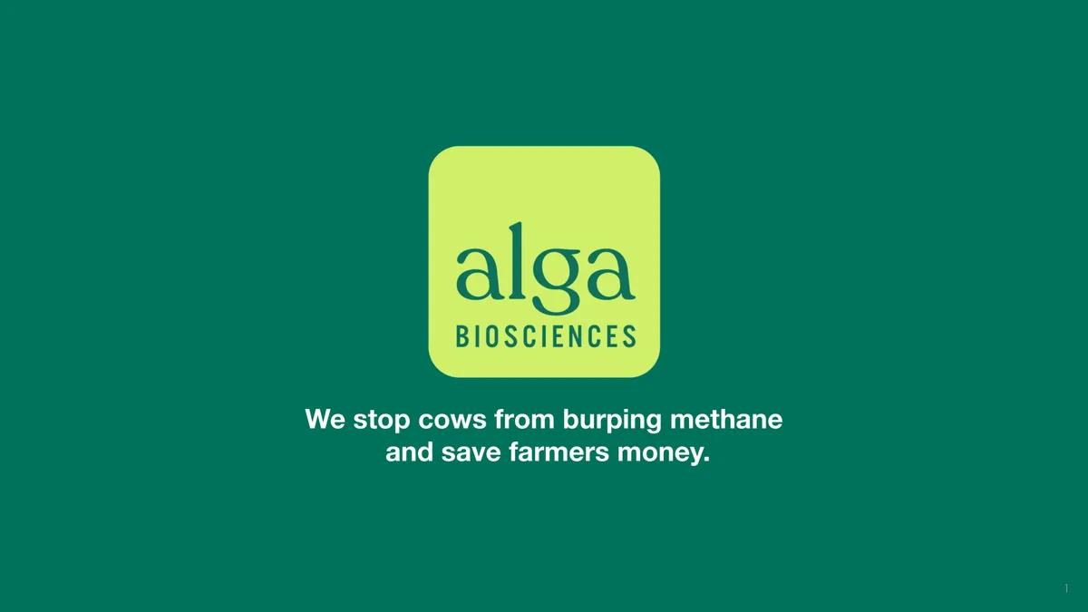 Y Combinator-backed climate tech startup Alga Biosciences raises $4m · slide 1