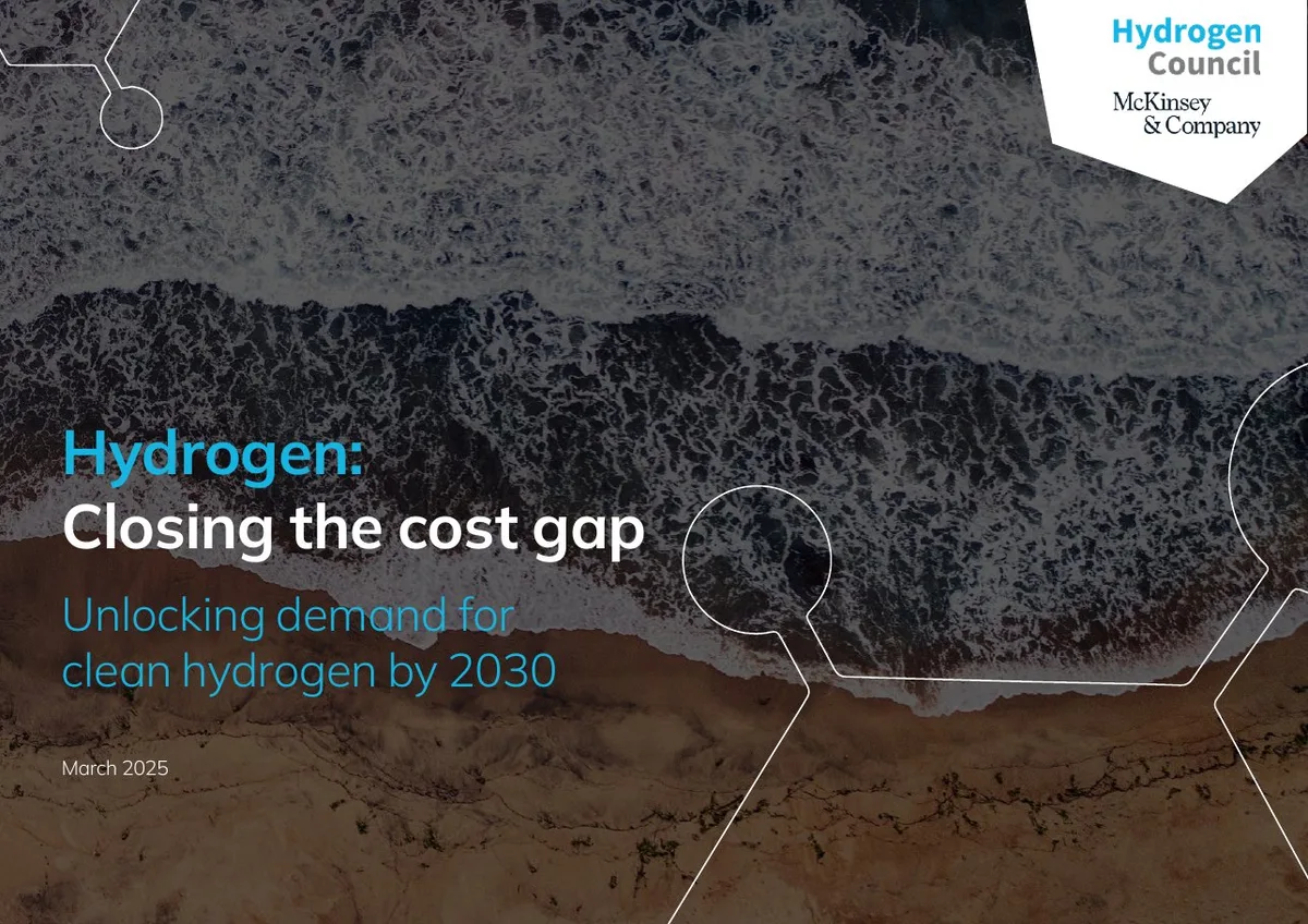 Includes logos for Hydrogen Council and McKinsey & Company.