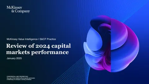 Review of 2024 capital markets performance