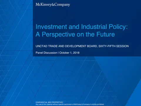 Investment Industrial Policy Future