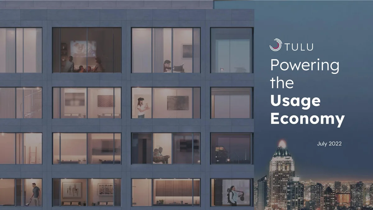 The slide uses a visual metaphor of a modern apartment building to represent the 'Usage Economy' context.